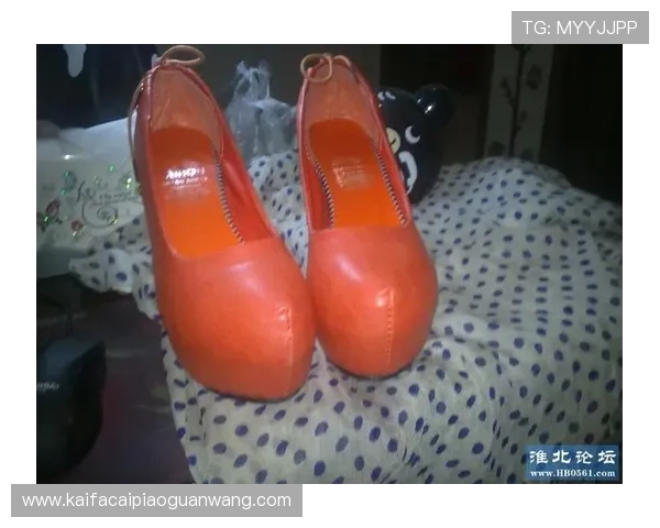 凯发网网站登录入口手机版官网官方正式版登录指南与操作流程详解